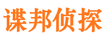 黑水调查公司